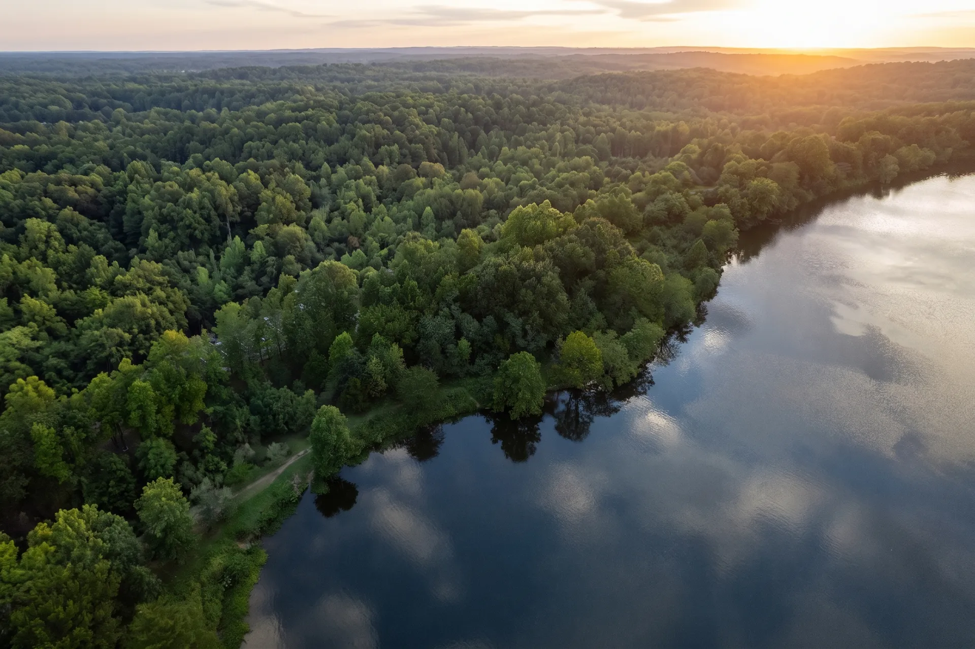 Wolf River Web Design